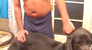 animals-video,animal-porn